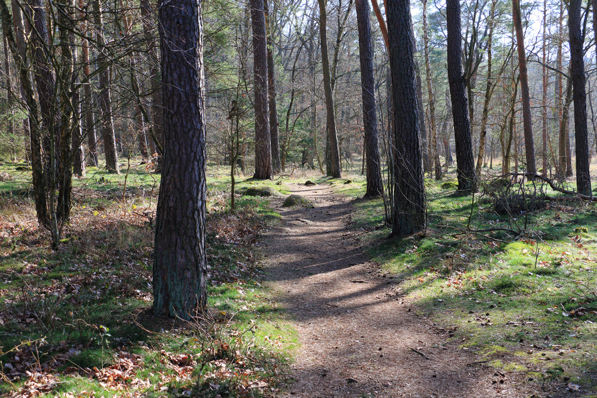 Foto: Stefan Svenaeus 2024