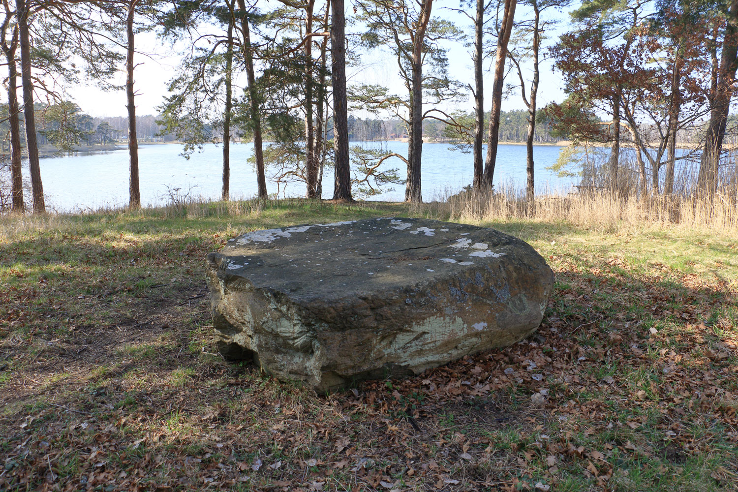 Kungabordet Foto: Stefan Svenaeus 2024