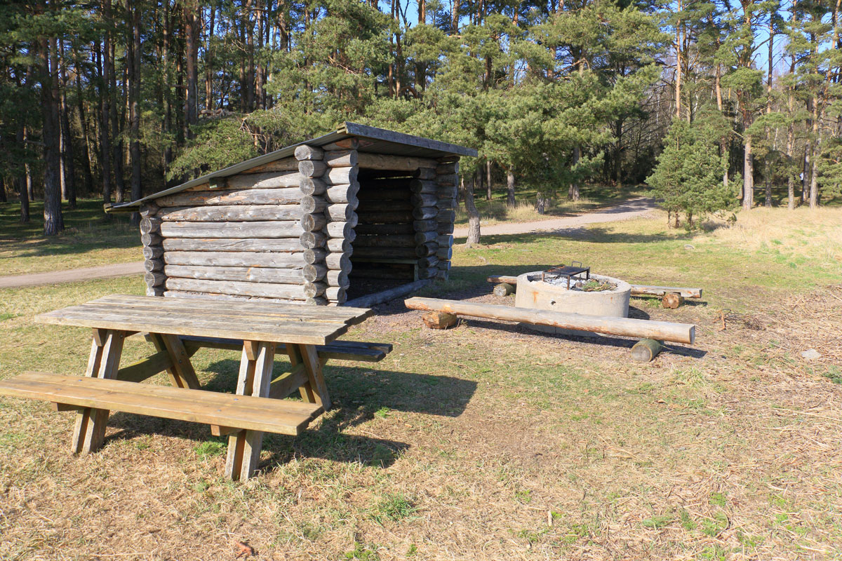Foto: Stefan Svenaeus 2024