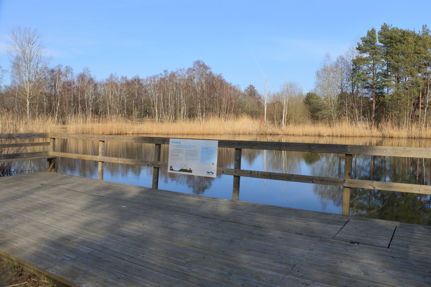 Foto: Stefan Svenaeus 2024