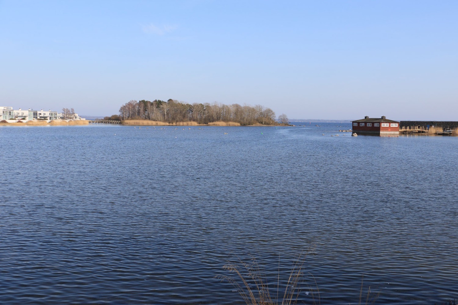 Foto: Stefan Svenaeus 2024