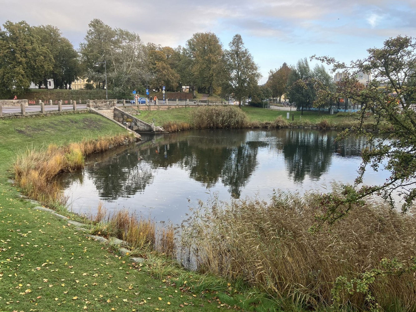 Foto: Stefan Svenaeus 2024
