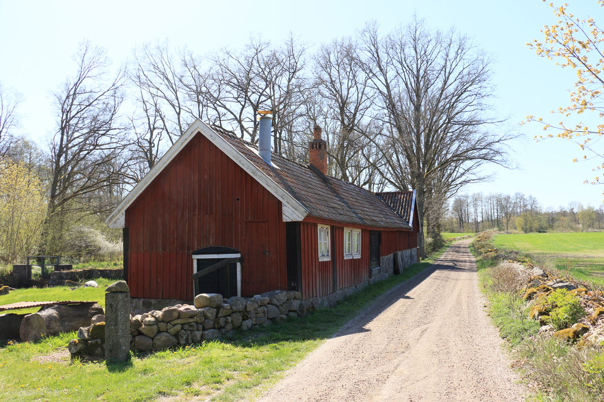 Foto: Stefan Svenaeus 2024