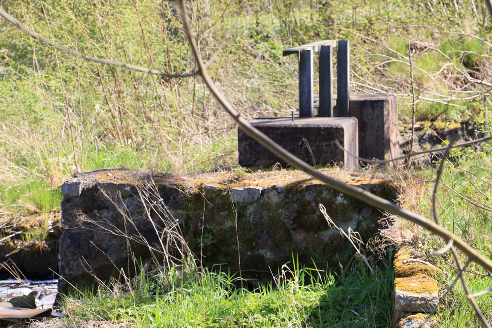Foto: Stefan Svenaeus 2024
