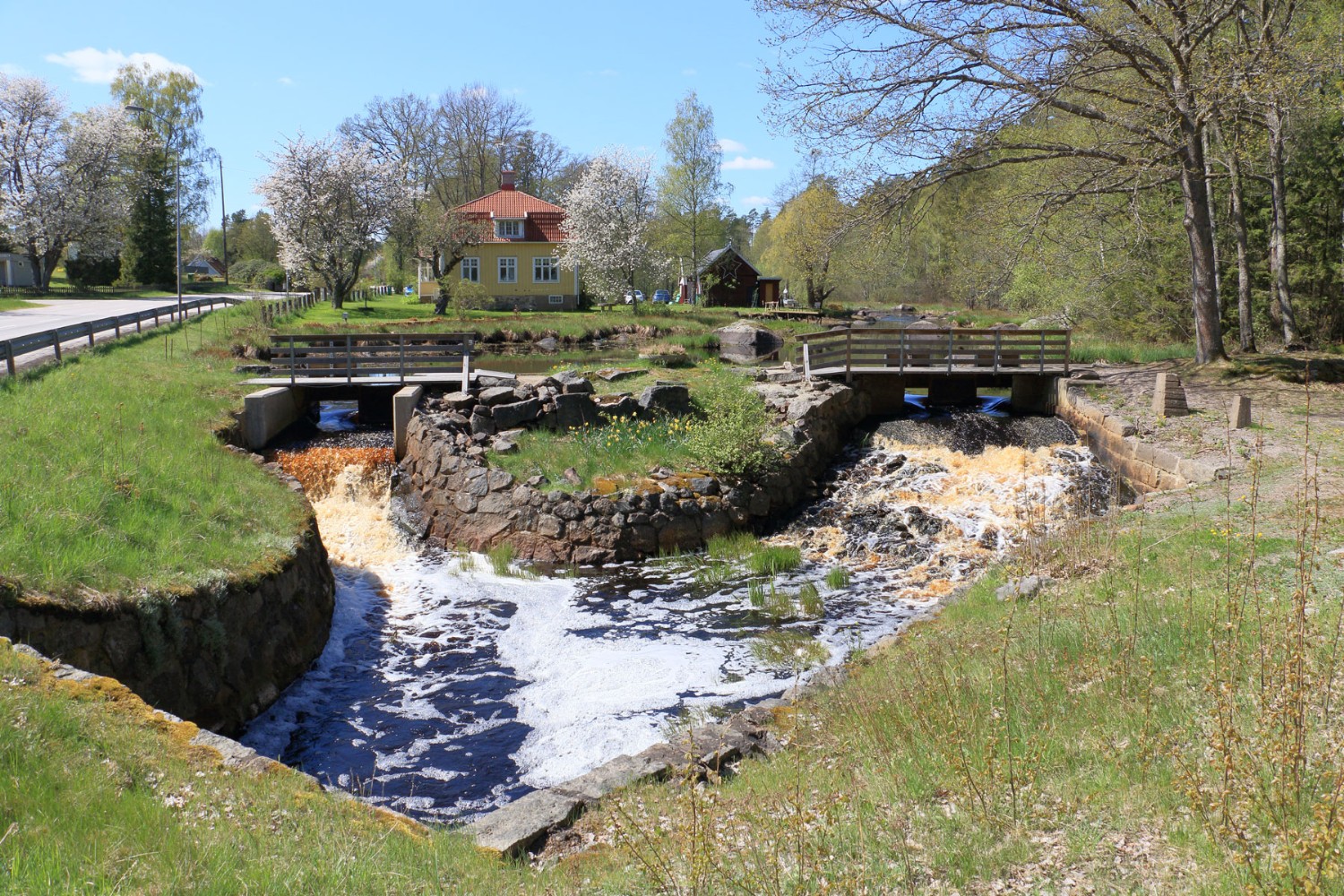 Utloppet ur dammen Foto: Stefan Svenaeus 2024