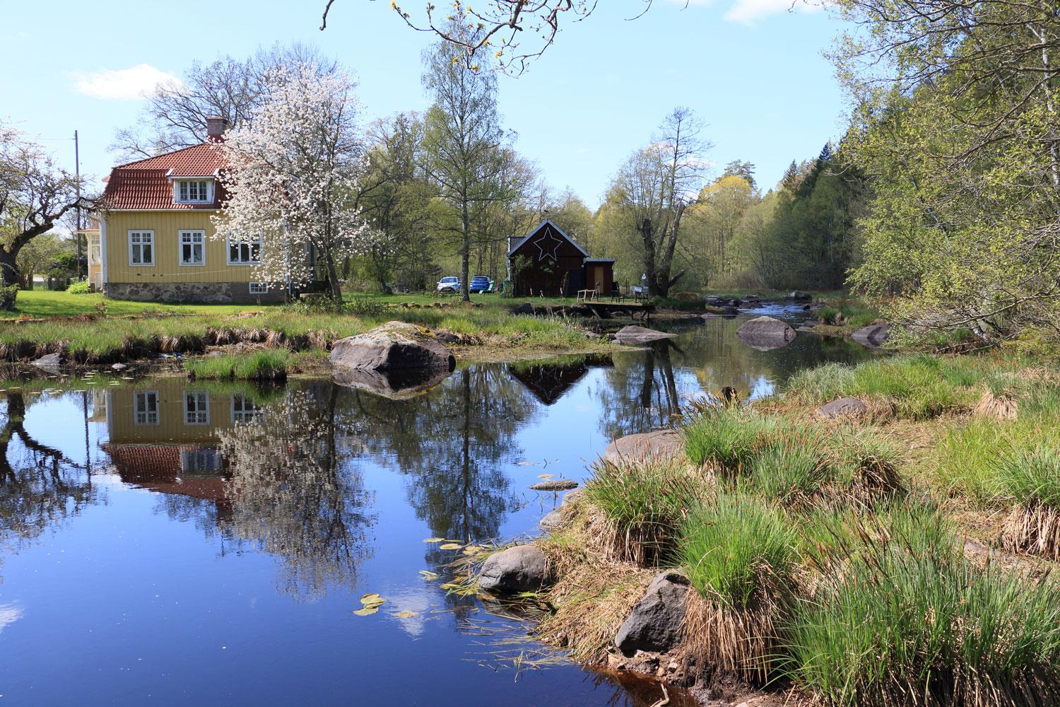 Foto: Stefan Svenaeus 2024