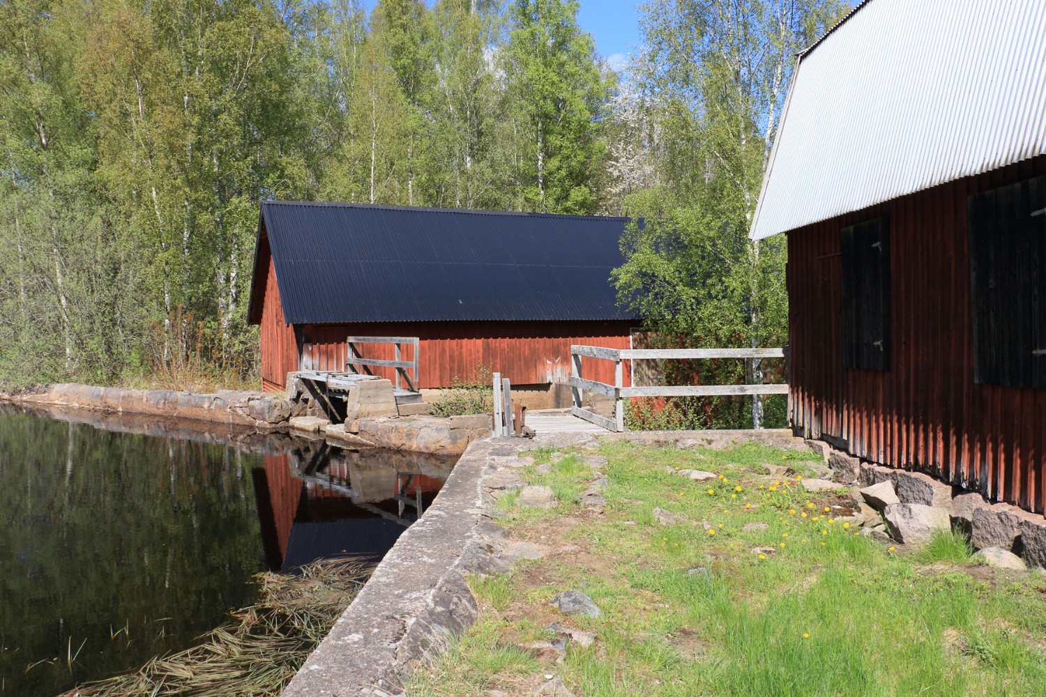 Foto: Stefan Svenaeus 2024