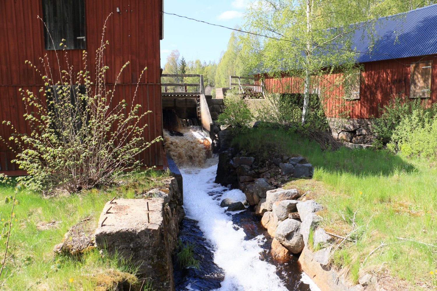 Foto: Stefan Svenaeus 2024