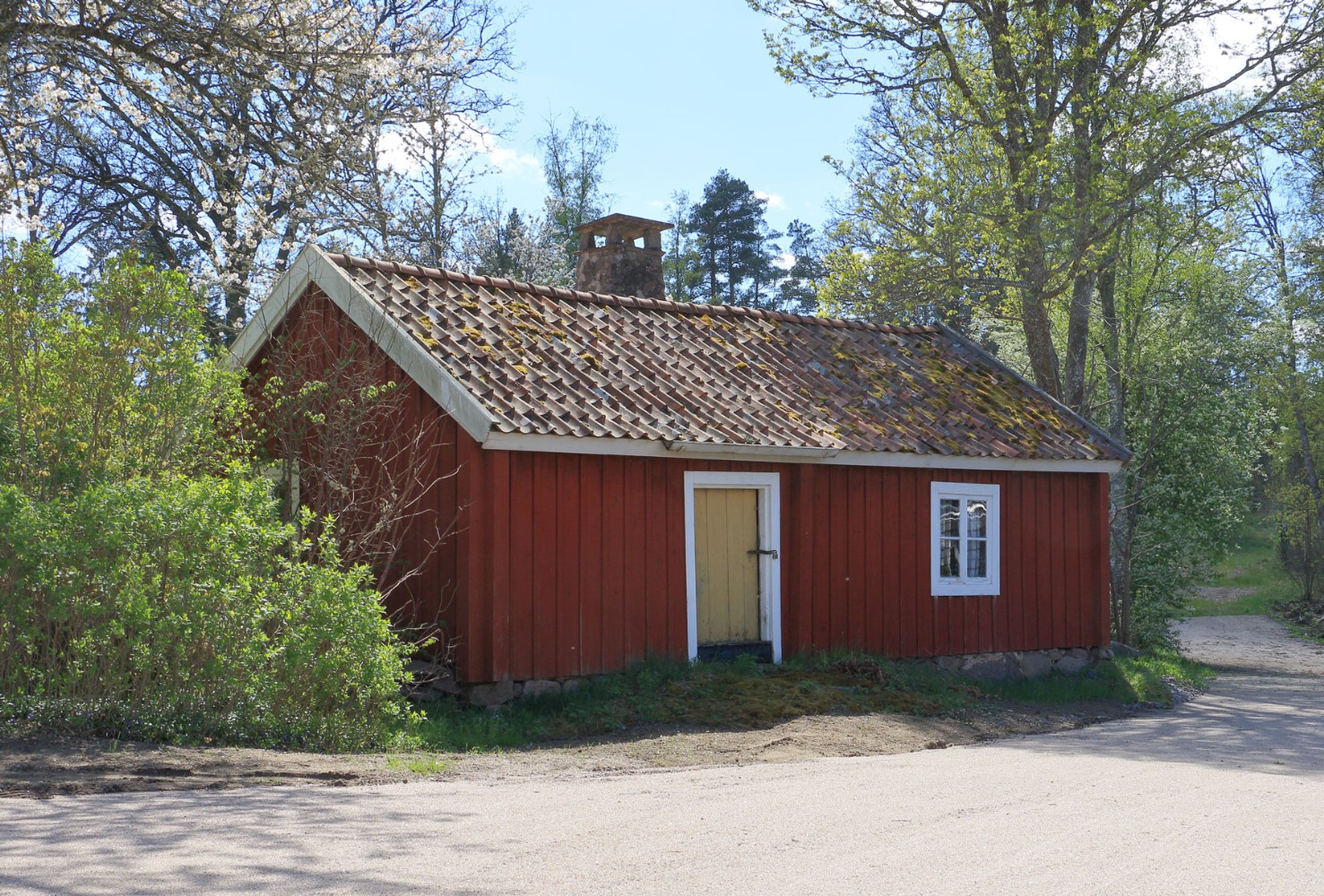 Foto: Stefan Svenaeus 2024