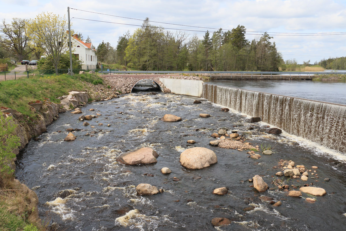 Faunapassagen Foto: Stefan Svenaeus 2024