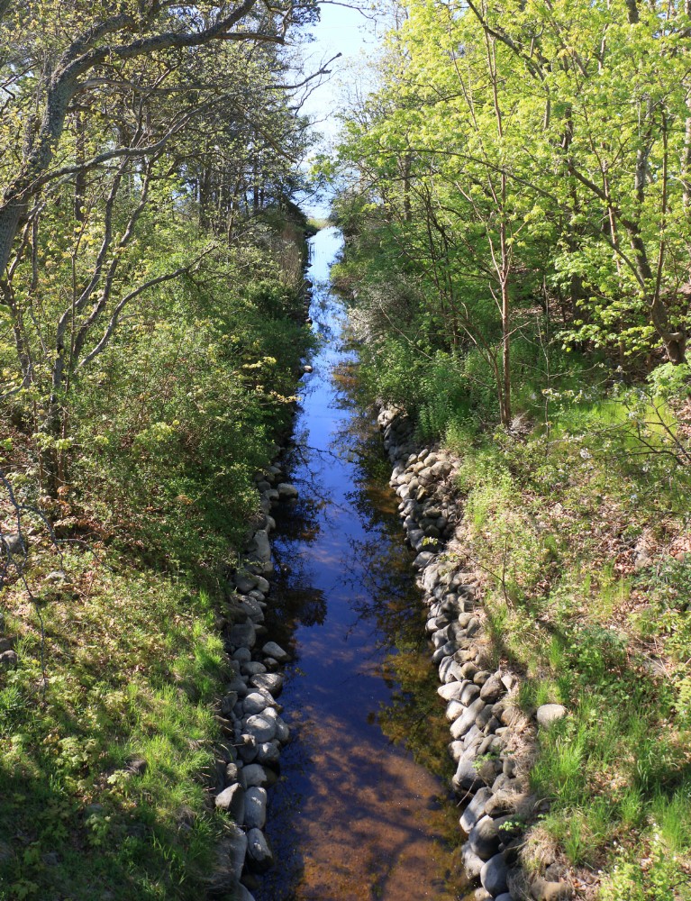 Foto: Stefan Svenaeus 2024