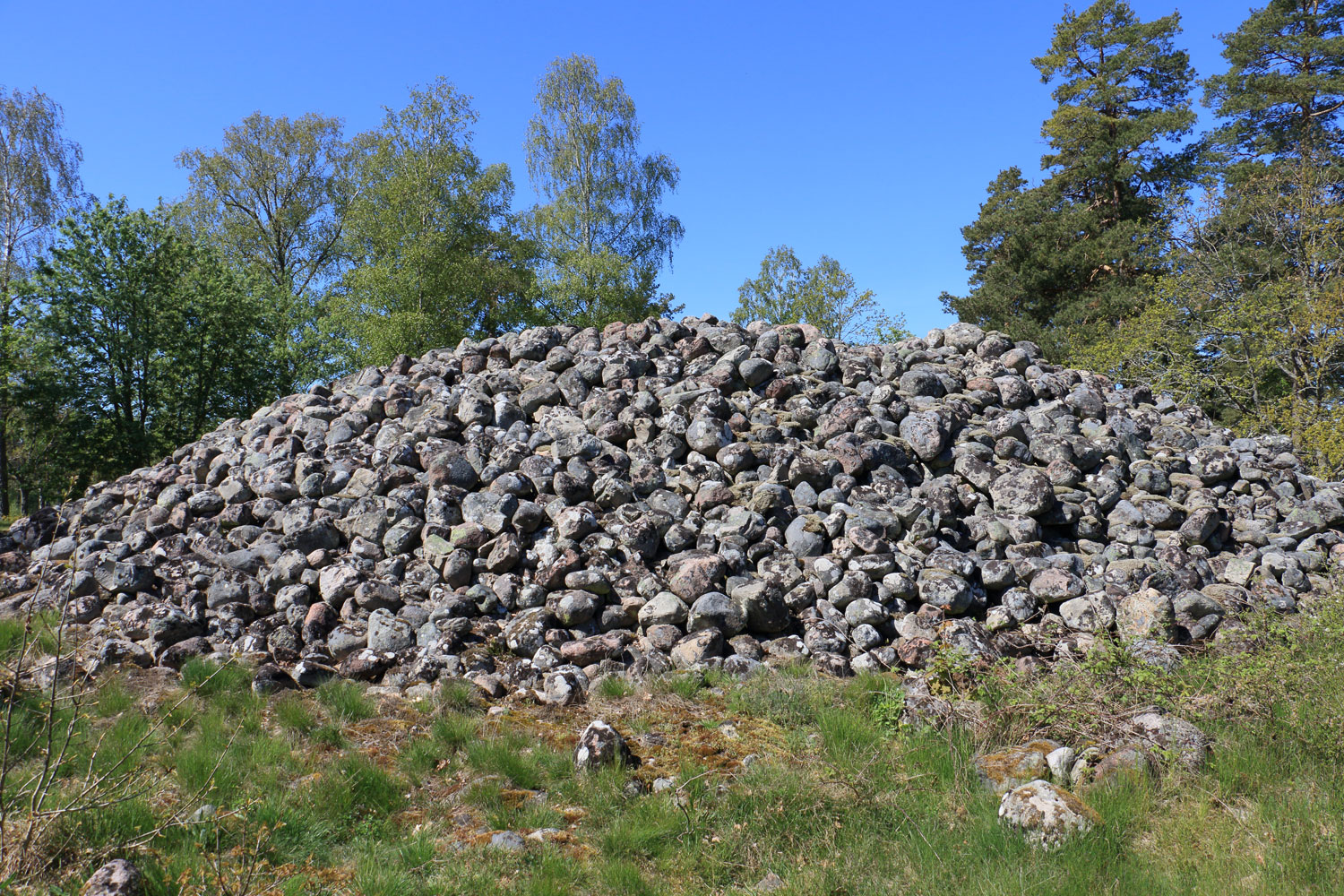 Foto: Stefan Svenaeus 2024