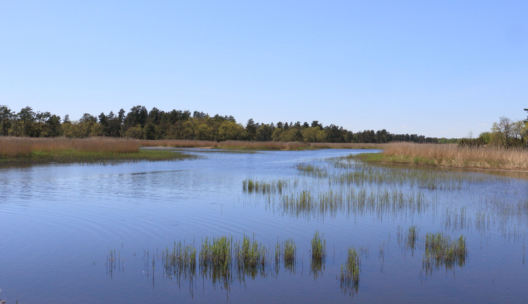 Foto: Stefan Svenaeus 2024