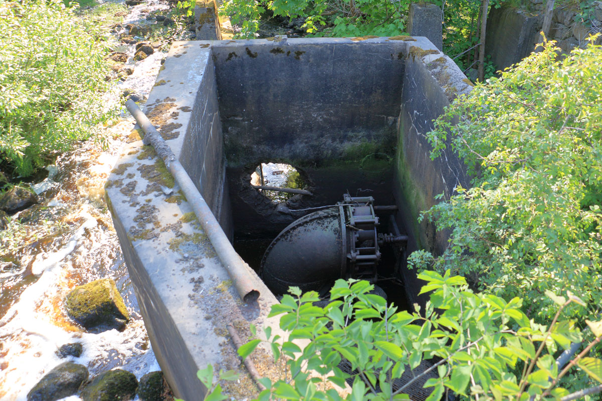 Foto: Stefan Svenaeus 2024