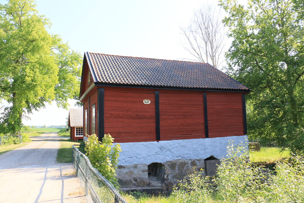Foto: Stefan Svenaeus 2024