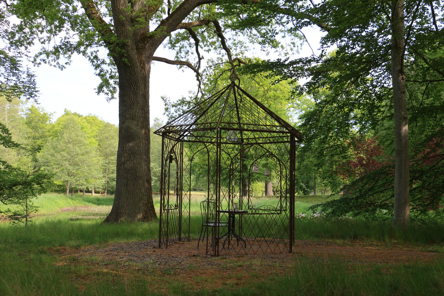 Foto: Stefan Svenaeus 2024