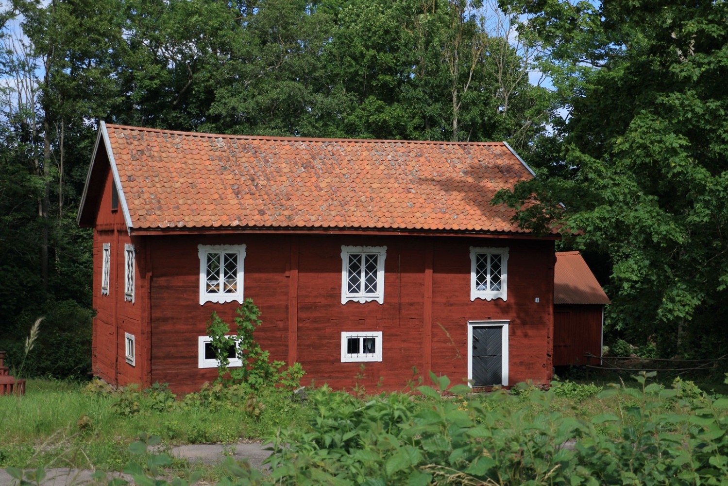Foto: Stefan Svenaeus 2025