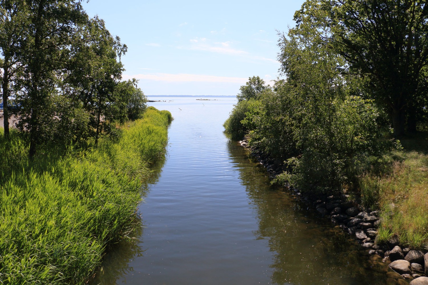 Foto: Stefan Svenaeus 2024
