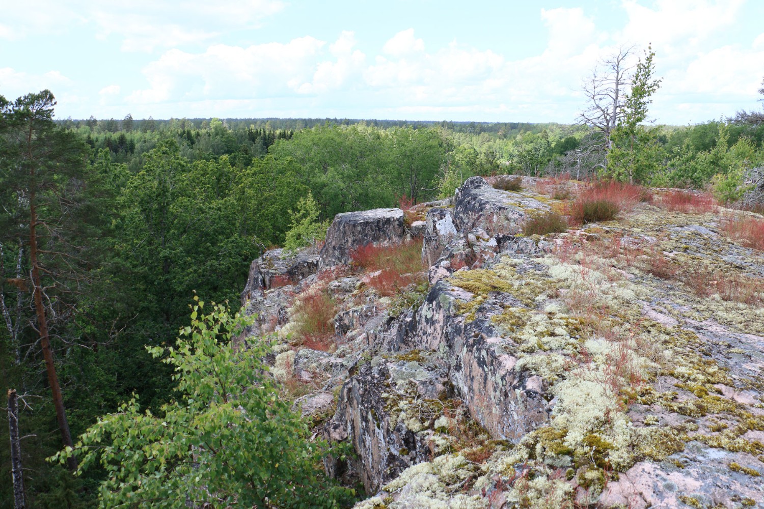 Foto: Stefan Svenaeus 2024