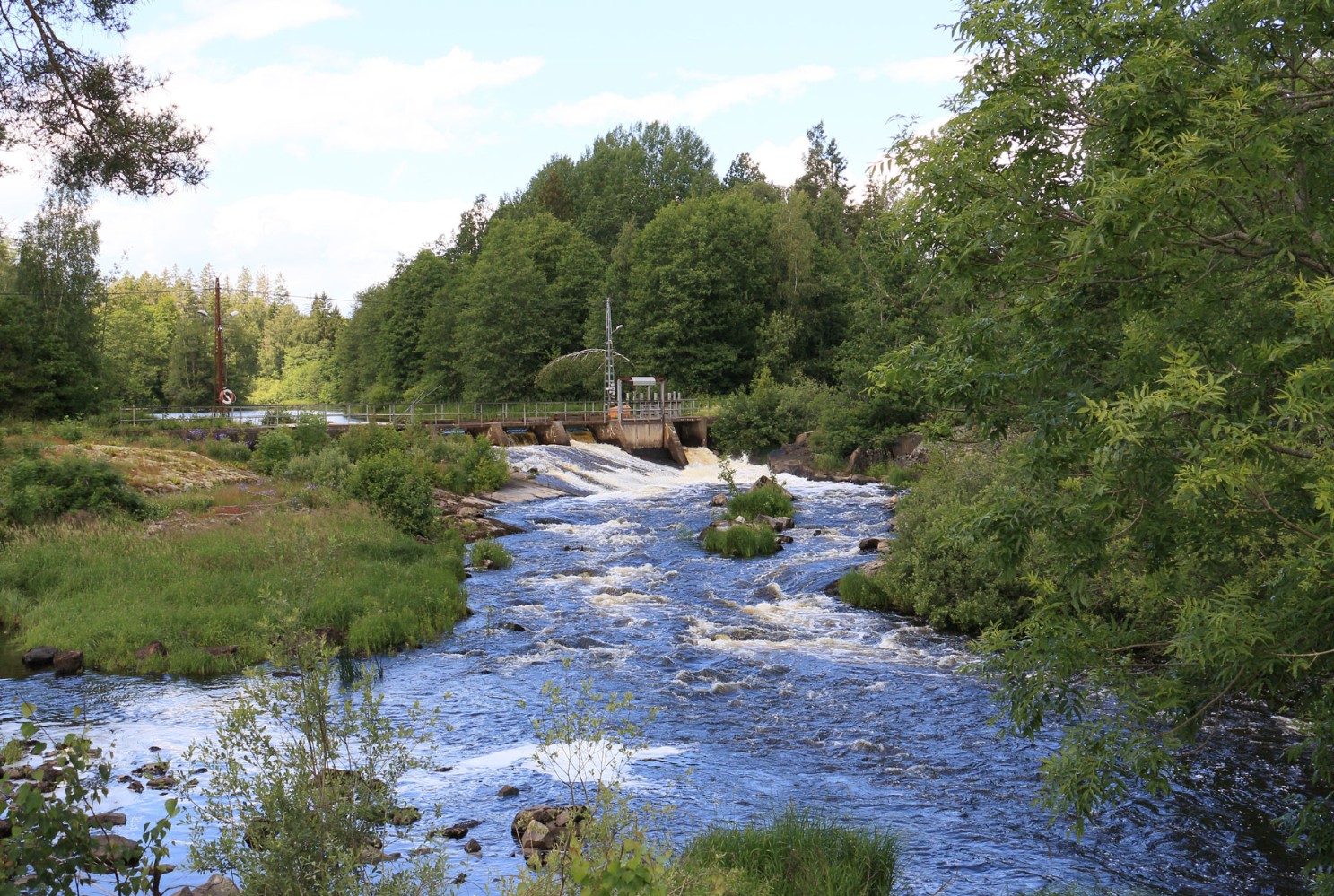 Foto: Stefan Svenaeus 2024