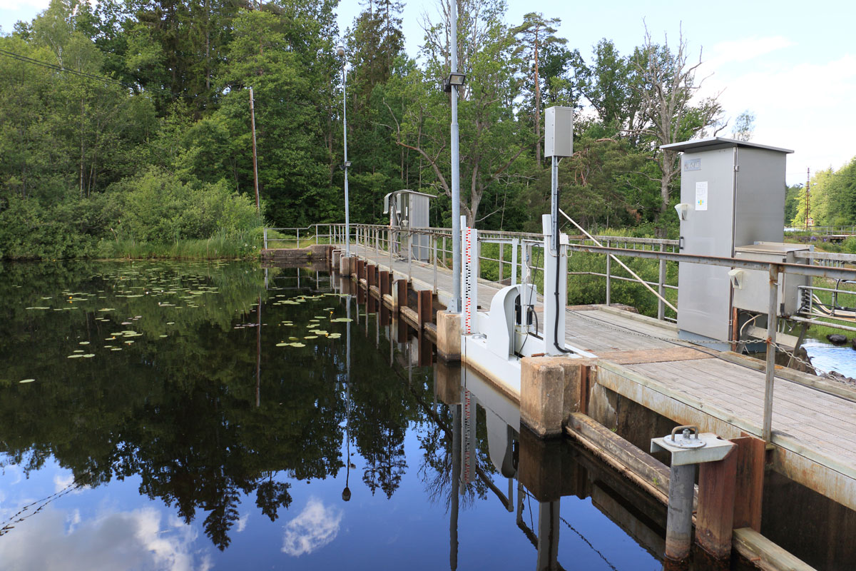 Foto: Stefan Svenaeus 2024