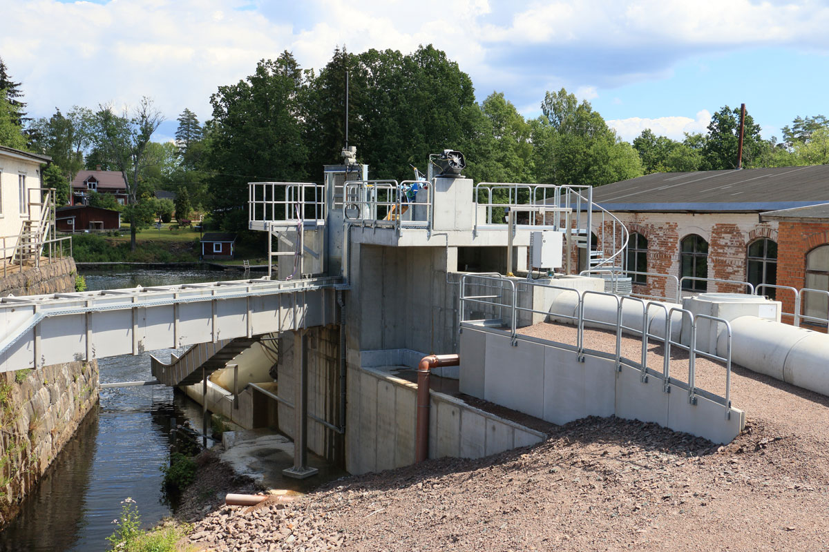 Fiskskruv Foto: Stefan Svenaeus 2024