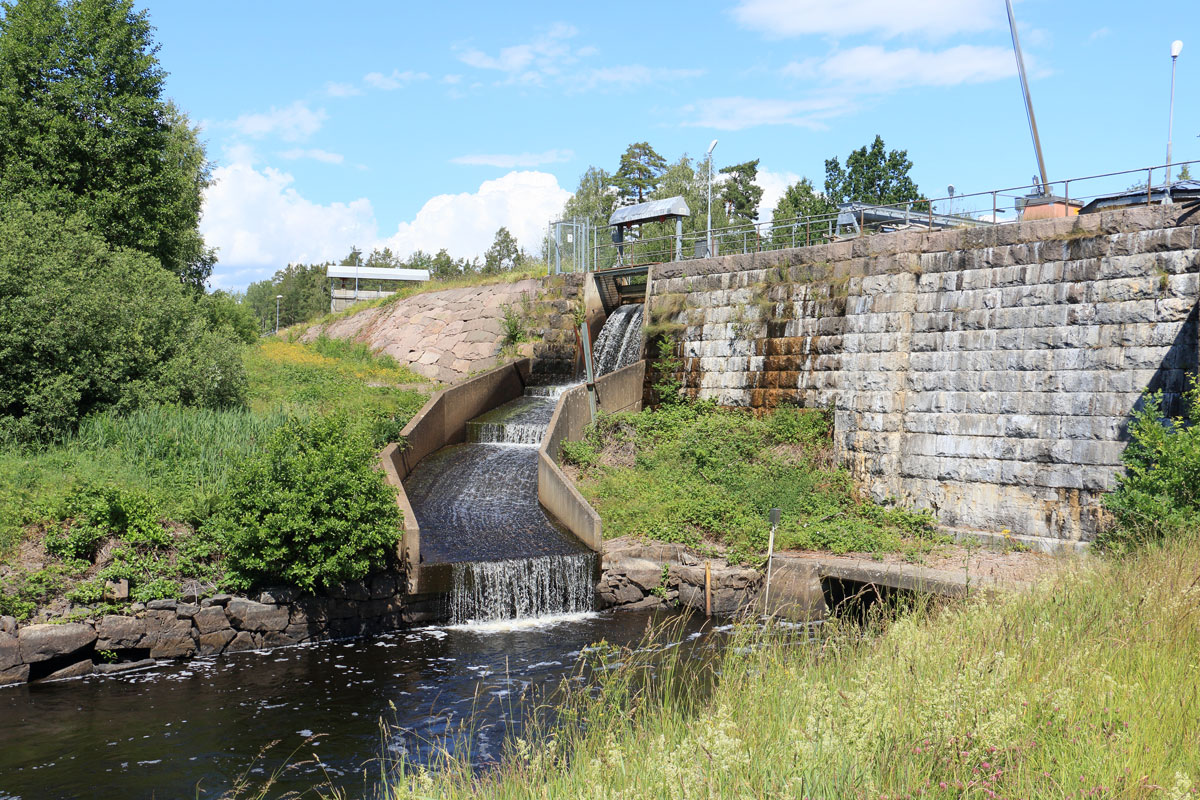 Foto: Stefan Svenaeus 2024