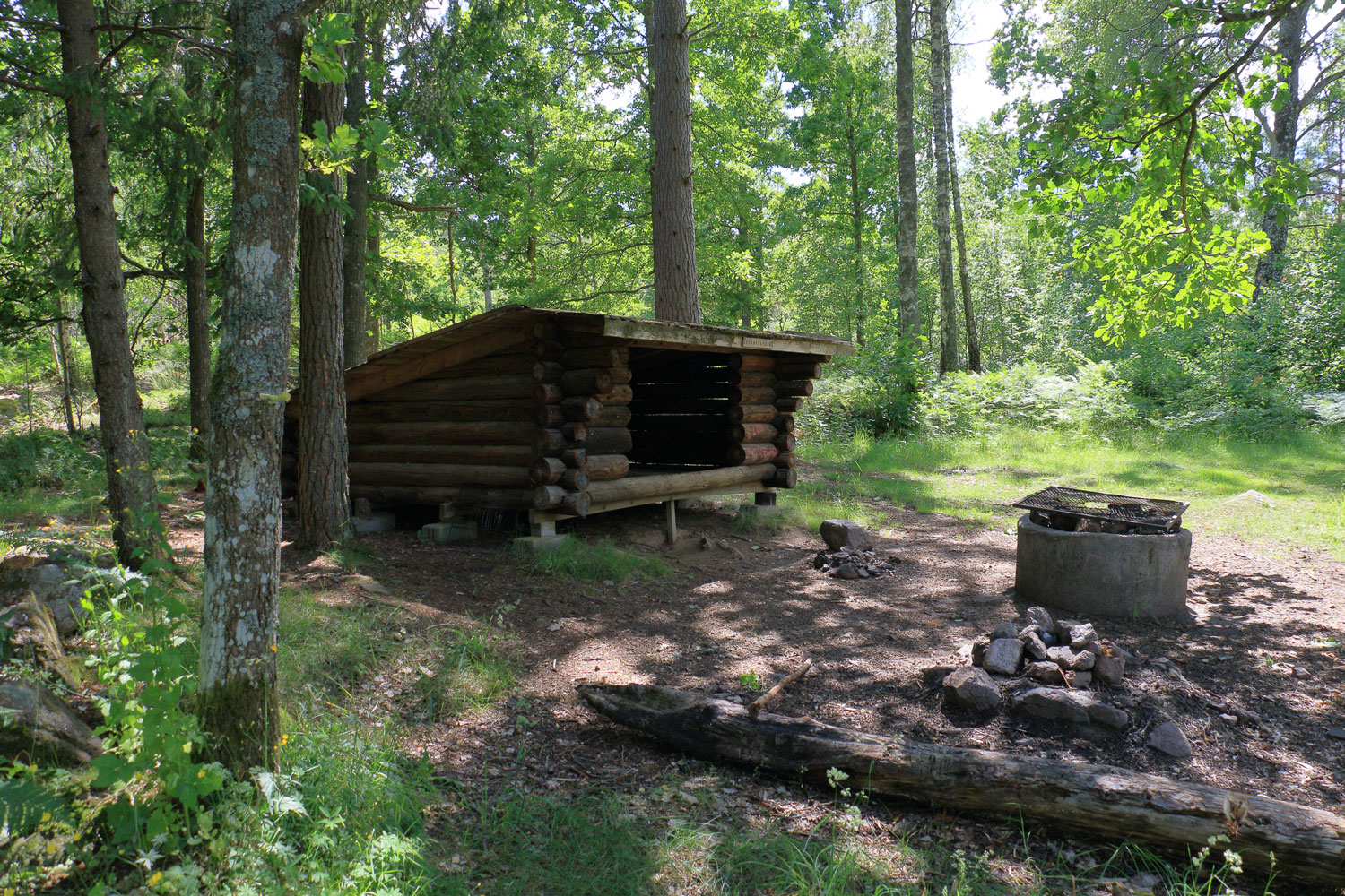 Foto: Stefan Svenaeus 2024