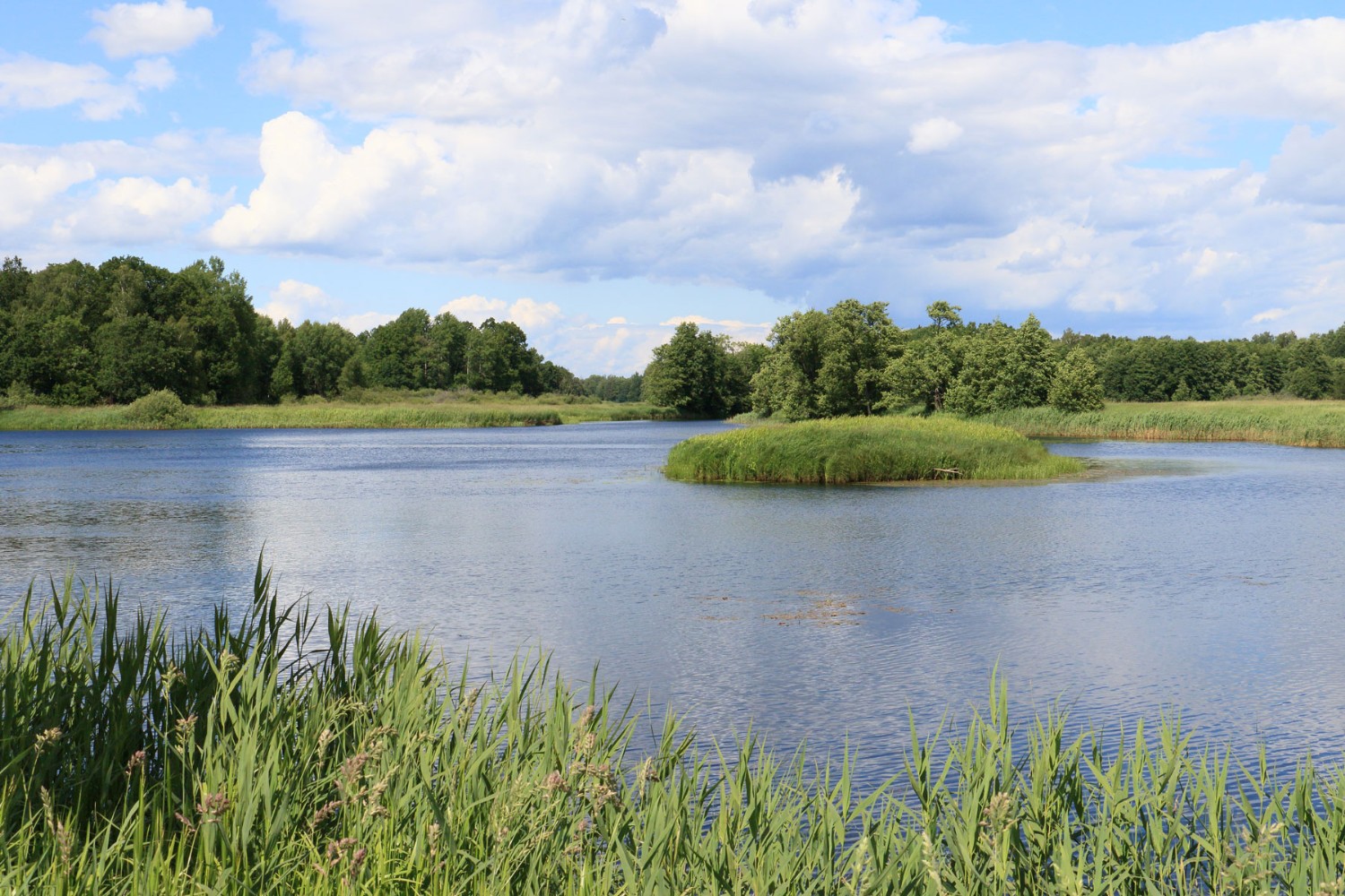 Foto: Stefan Svenaeus 2024