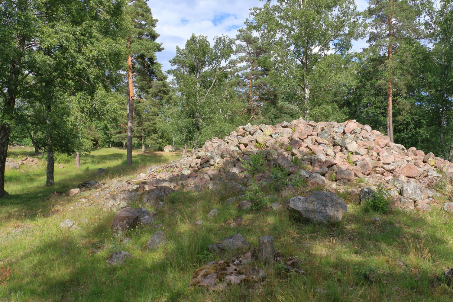 Foto: Stefan Svenaeus 2024