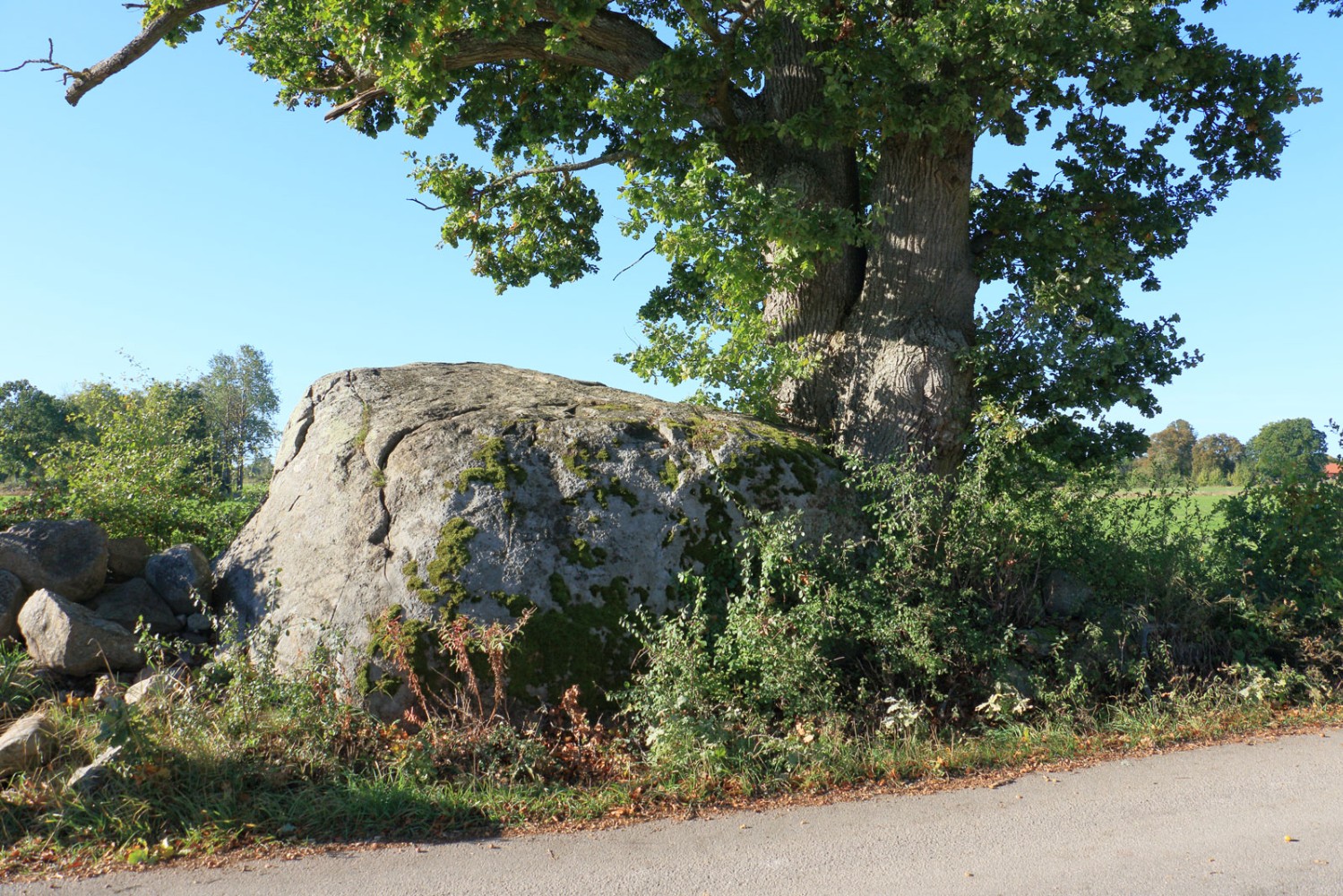 Foto: Stefan Svenaeus 2024