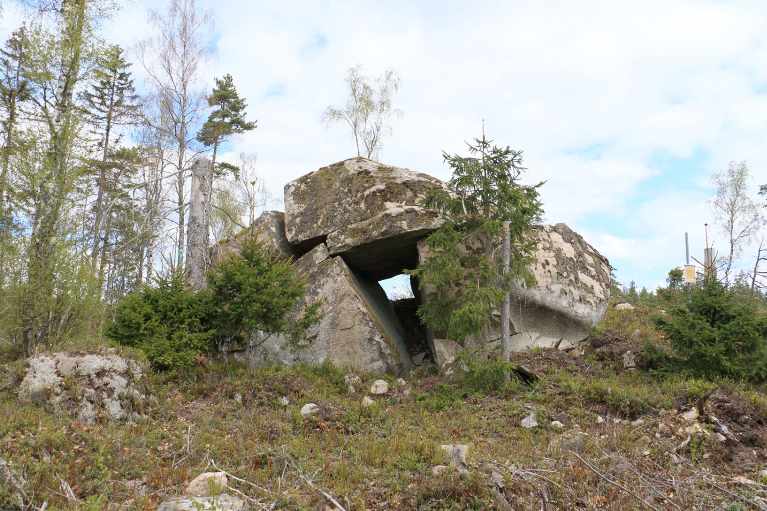 Foto: Stefan Svenaeus 2025