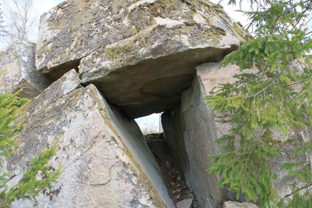 Foto: Stefan Svenaeus 2025