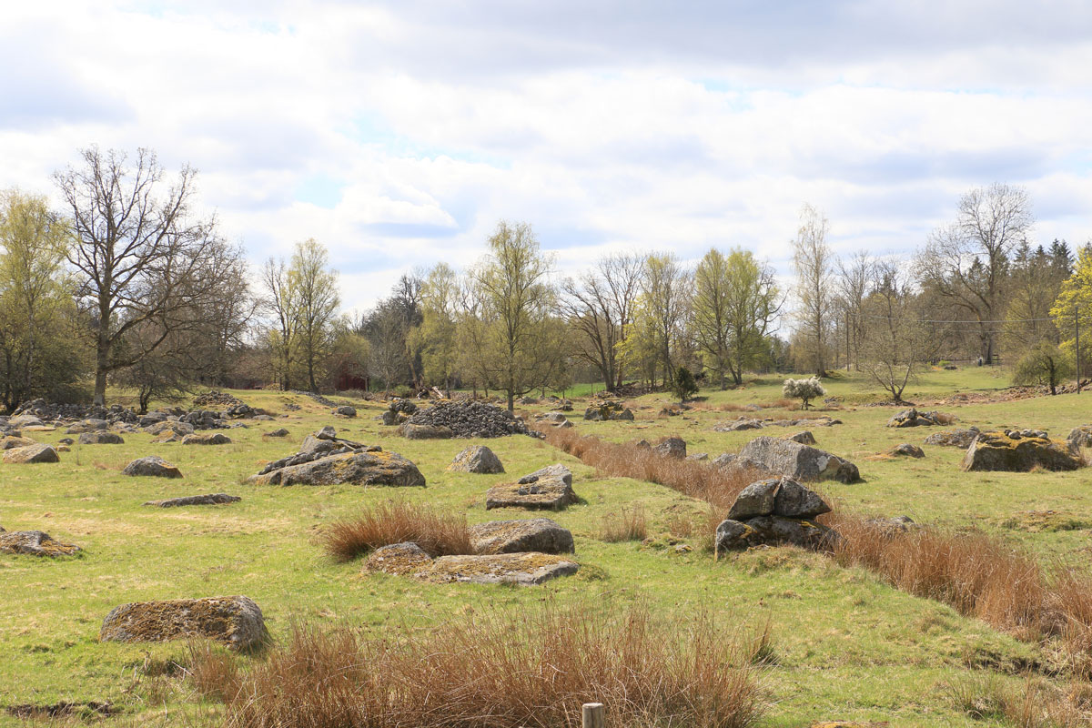 Foto: Stefan Svenaeus 2025