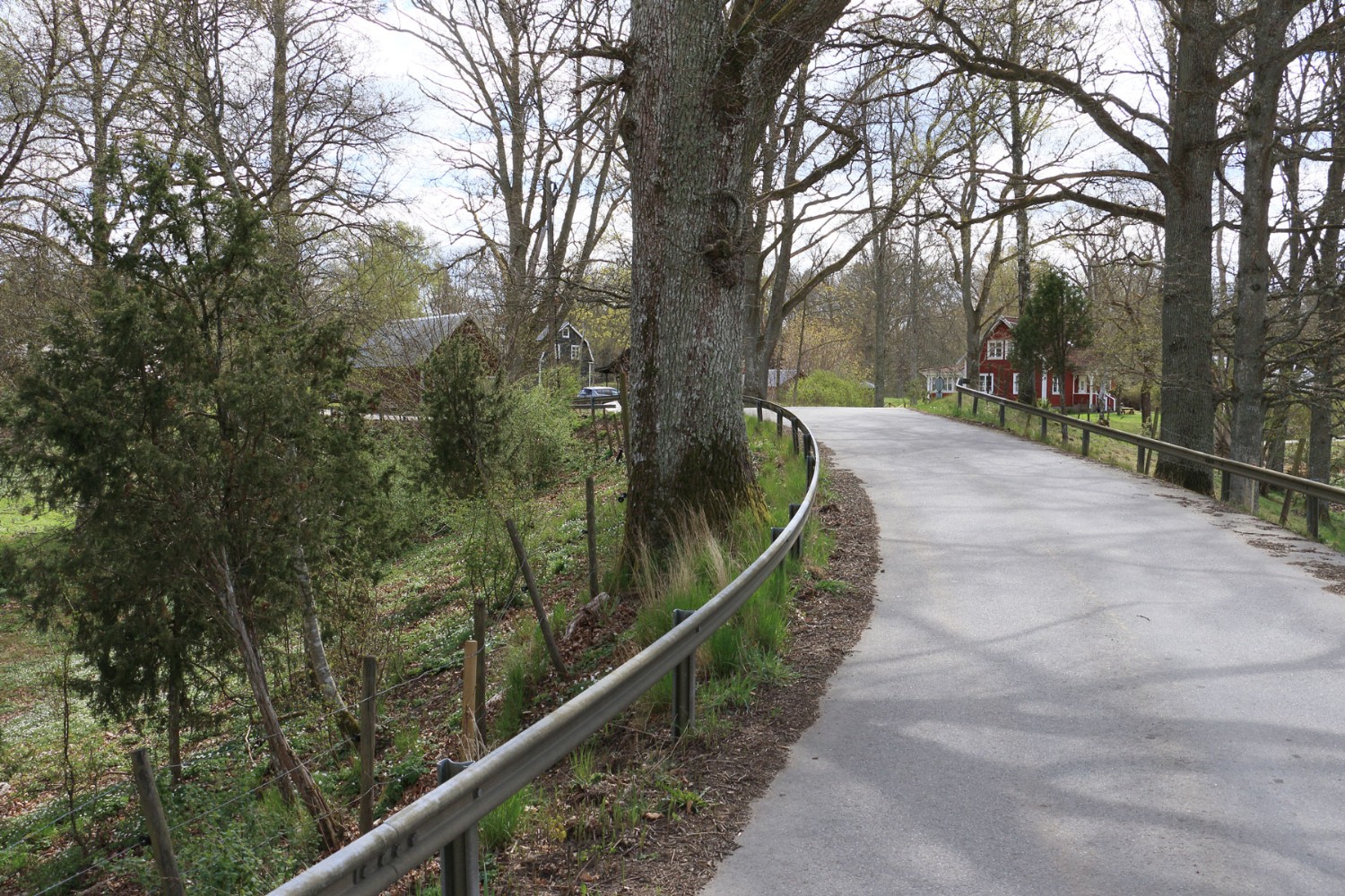 Vägen slingrar sig på åsryggen Foto: Stefan Svenaeus 2025