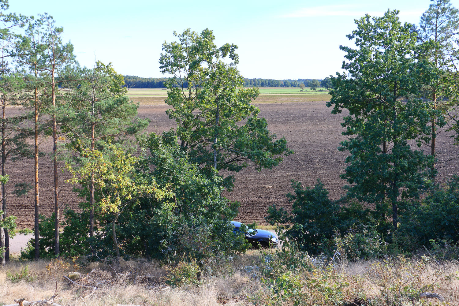Utsikt från Hagbymassivet över kusten vid Hagbyhamn Foto: Stefan Svenaeus 2024
