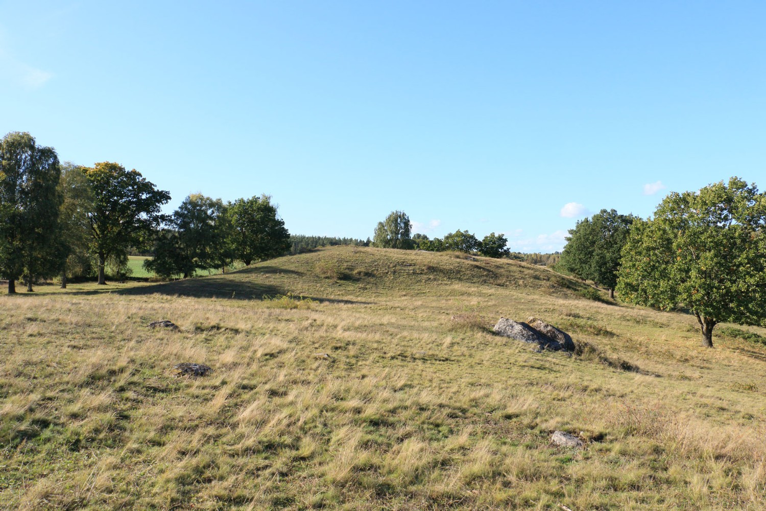 Foto: Stefan Svenaeus 2024