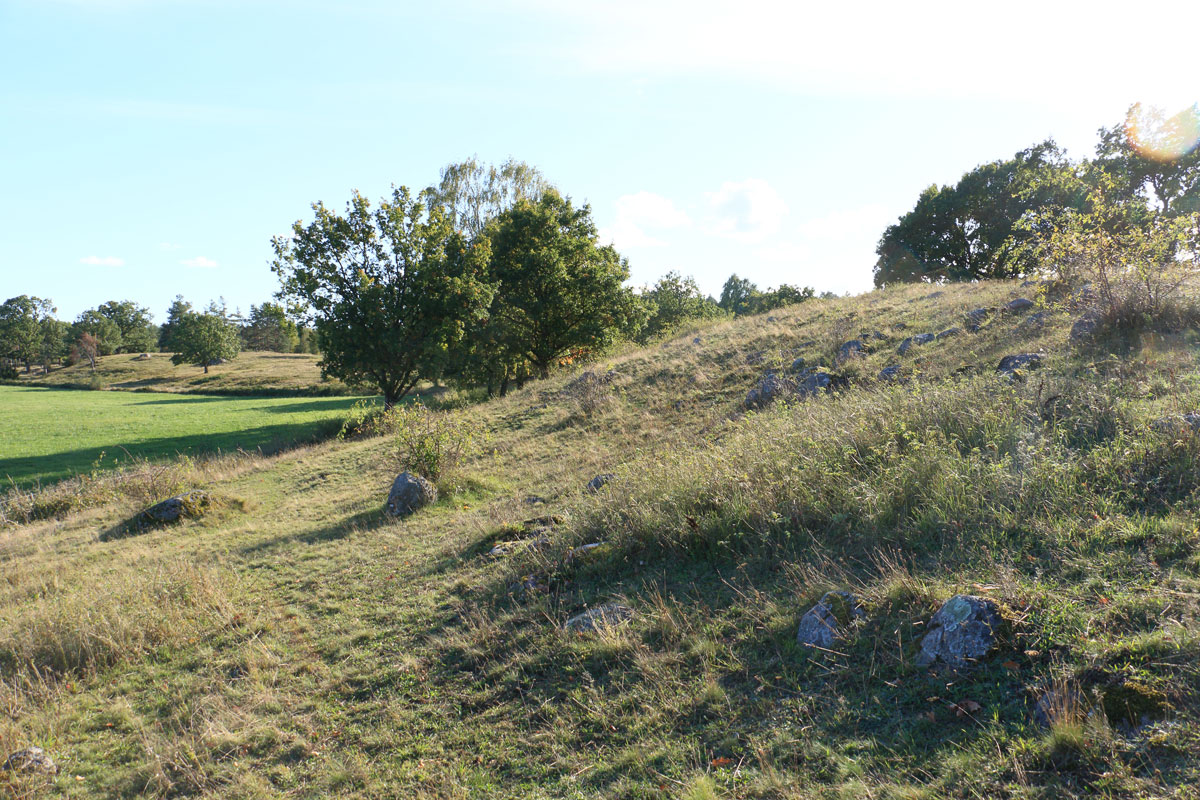 Foto: Stefan Svenaeus 2024