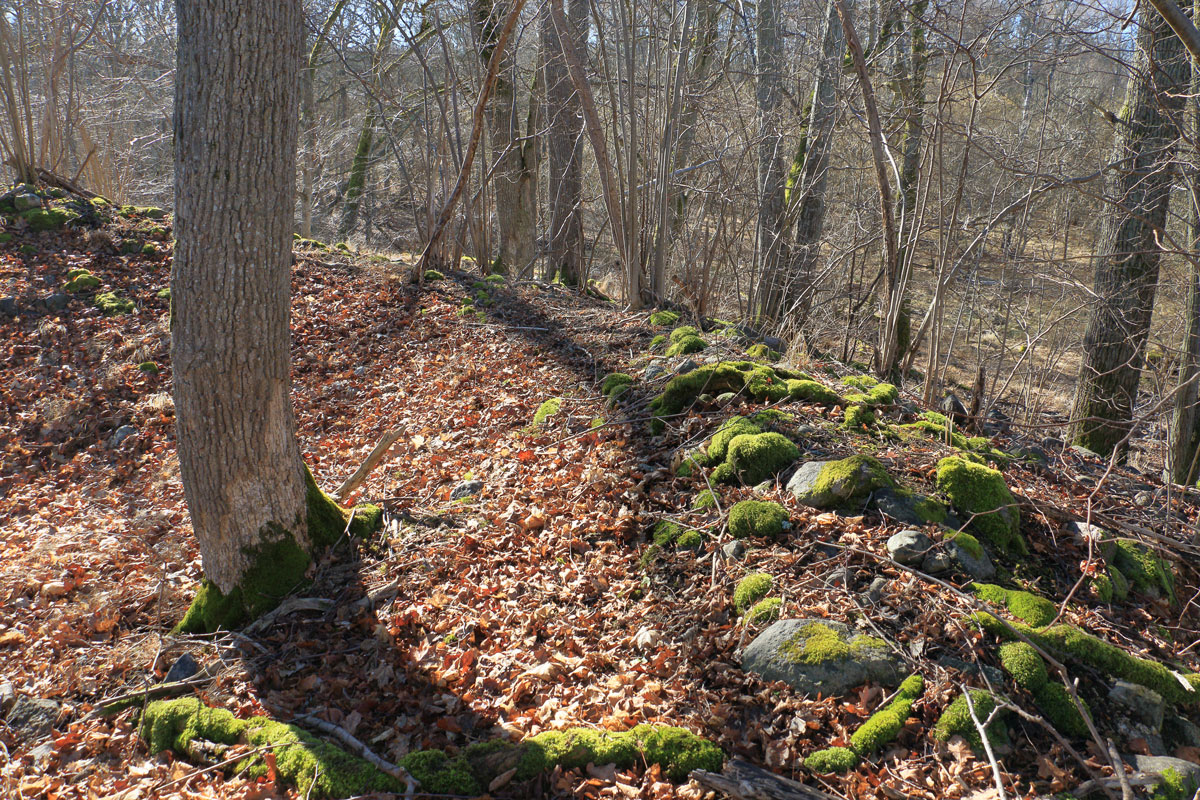 Foto: Stefan Svenaeus 2025