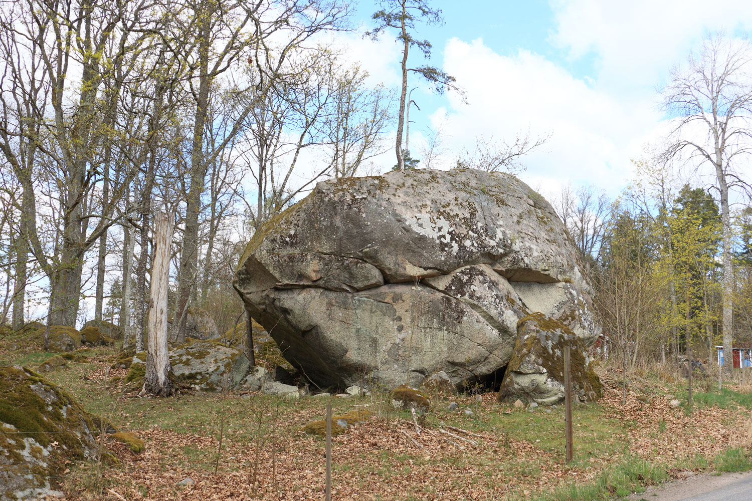 Foto: Stefan Svenaeus 2025