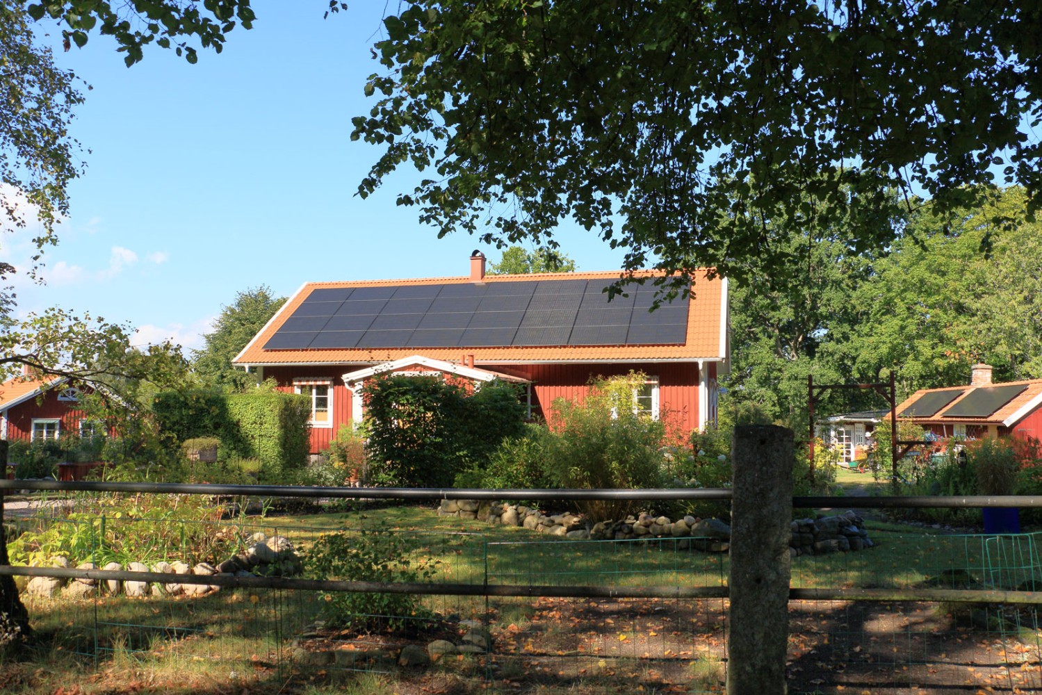 Foto: Stefan Svenaeus 2025
