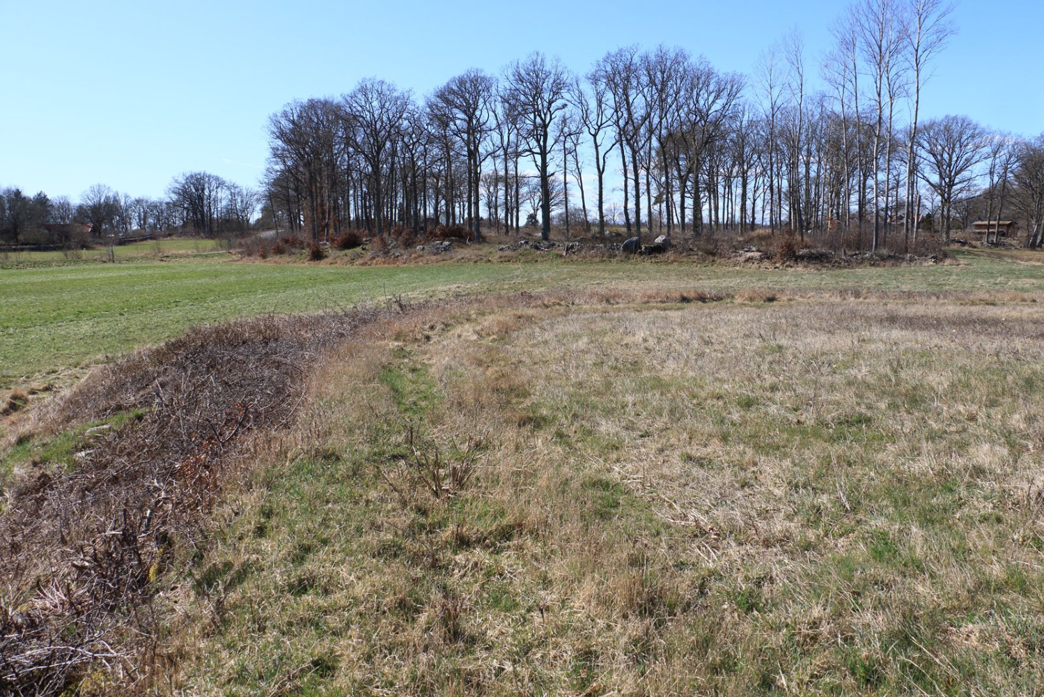 Foto: Stefan Svenaeus 2025