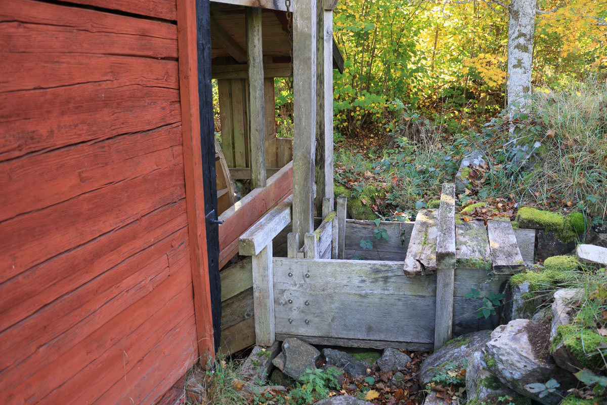 Foto: Stefan Svenaeus 2025