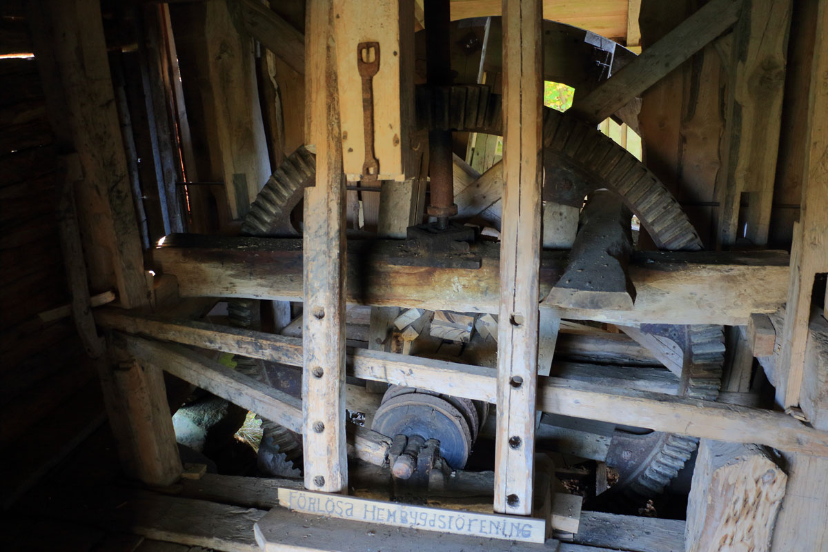 Foto: Stefan Svenaeus 2025