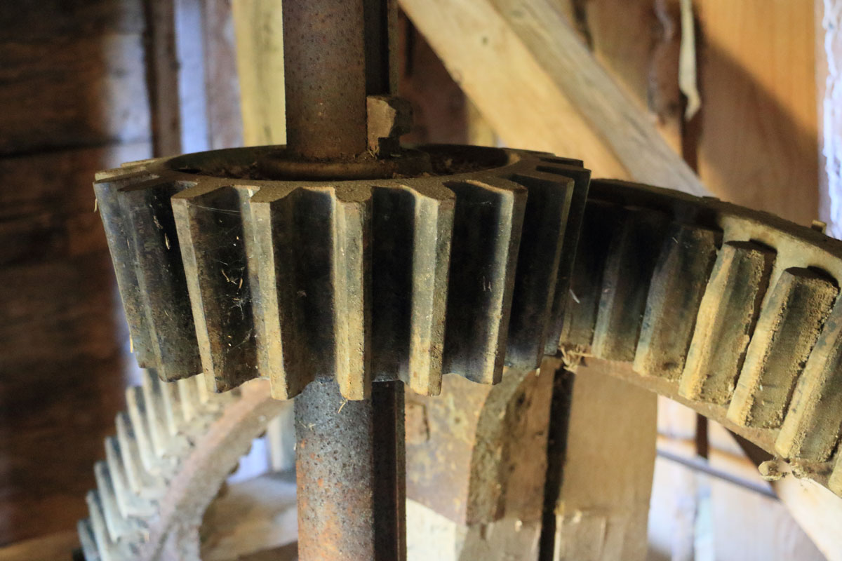 Foto: Stefan Svenaeus 2025