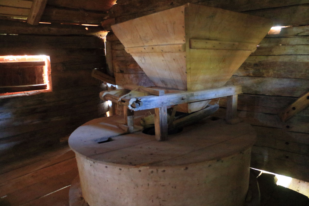 Foto: Stefan Svenaeus 2025