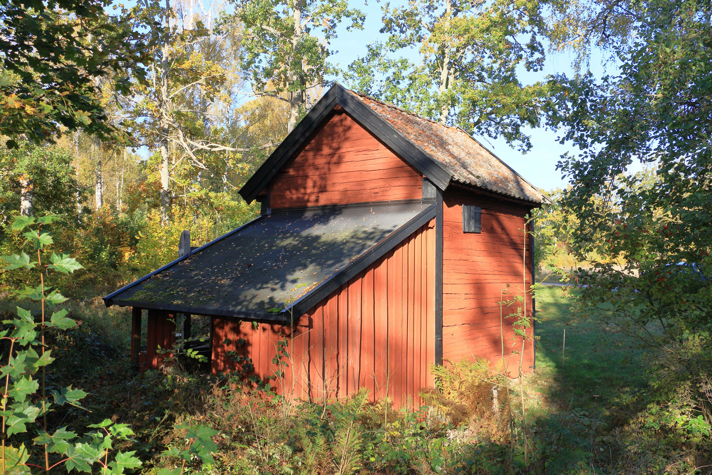 Foto: Stefan Svenaeus 2025