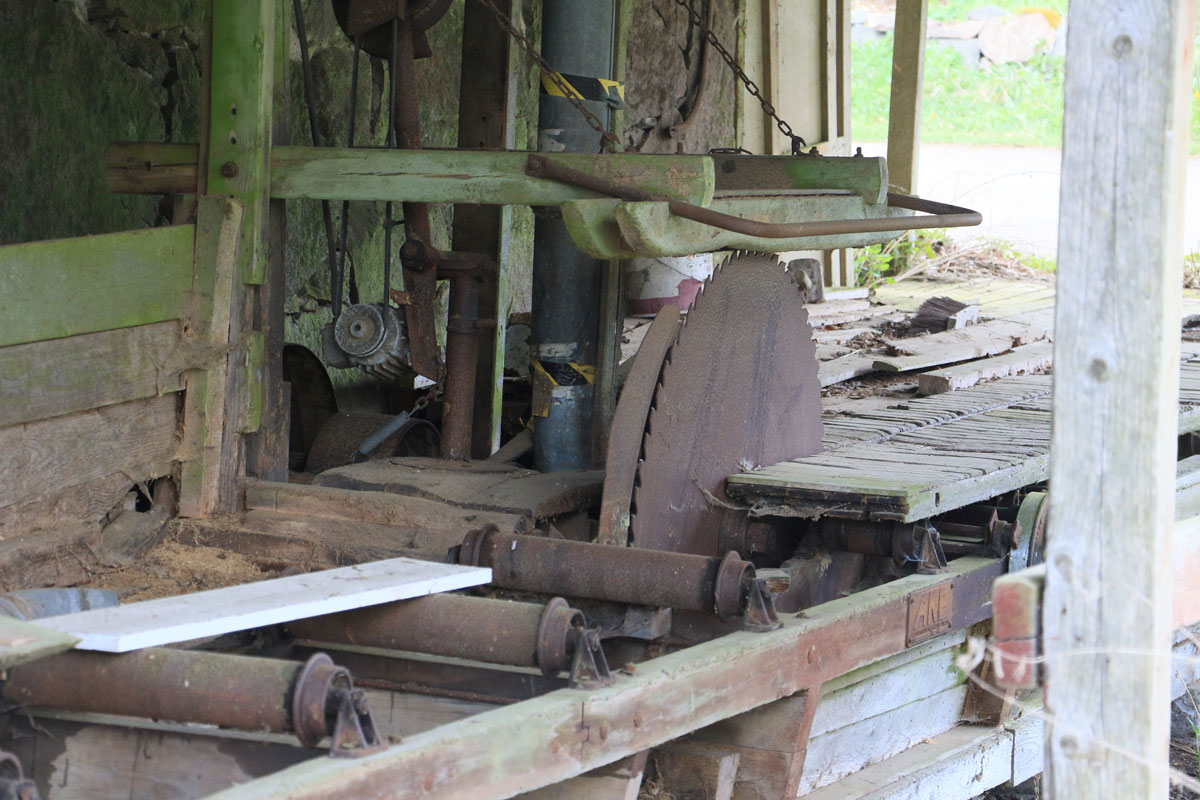 Foto: Stefan Svenaeus 2025