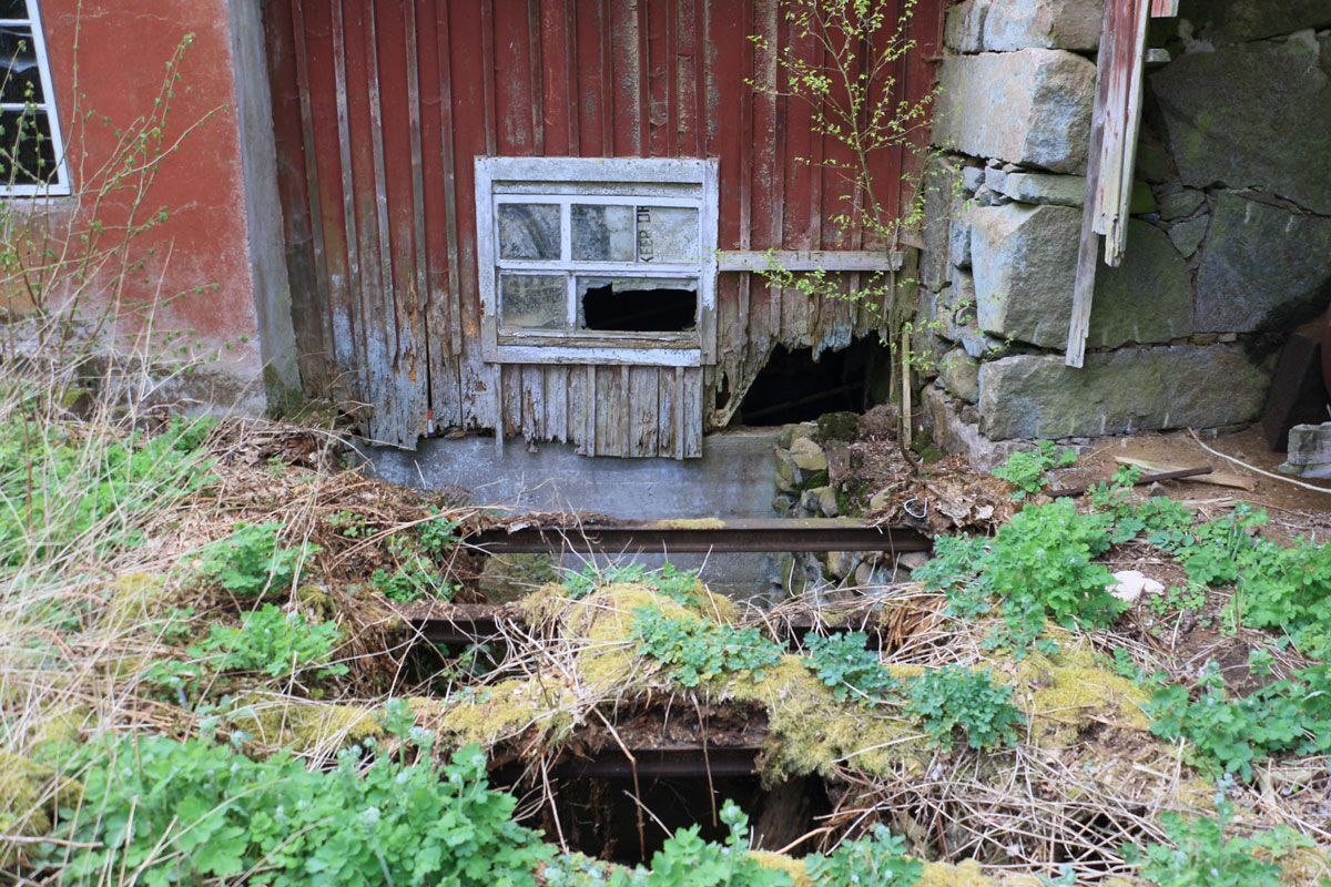 Foto: Stefan Svenaeus 2025