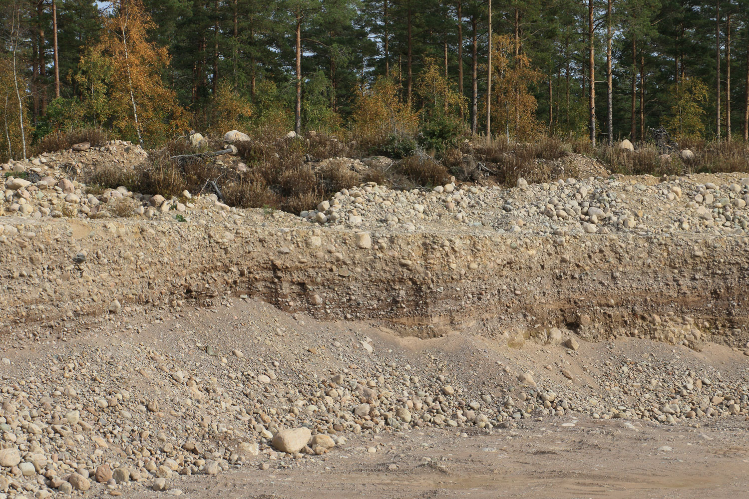Grustag i åsen vid Nickebo Foto: Stefan Svenaeus 2025
